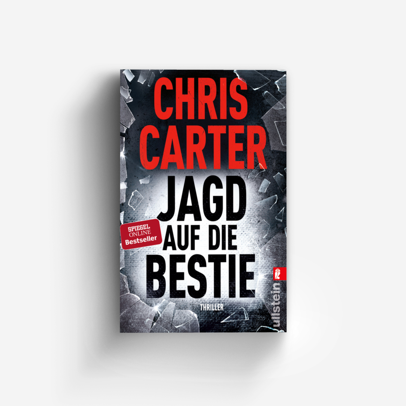 Buchcover von Jagd auf die Bestie (Ein Hunter-und-Garcia-Thriller 10)