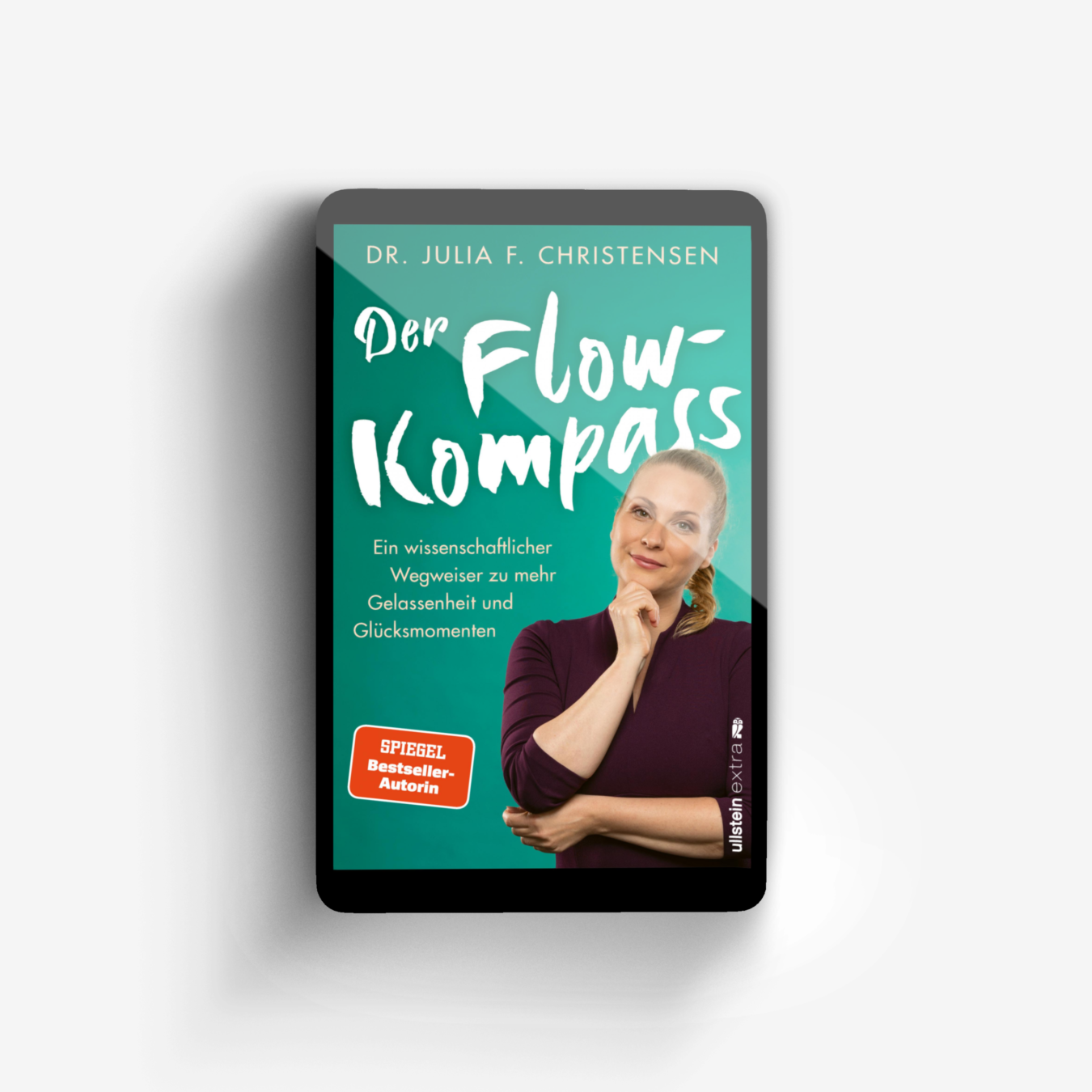 Buchcover von Der Flow-Kompass