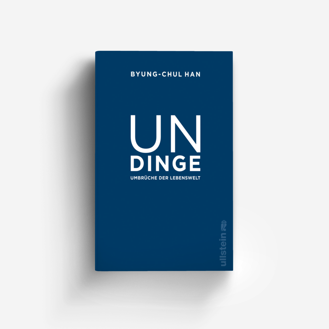 Buchcover von Undinge