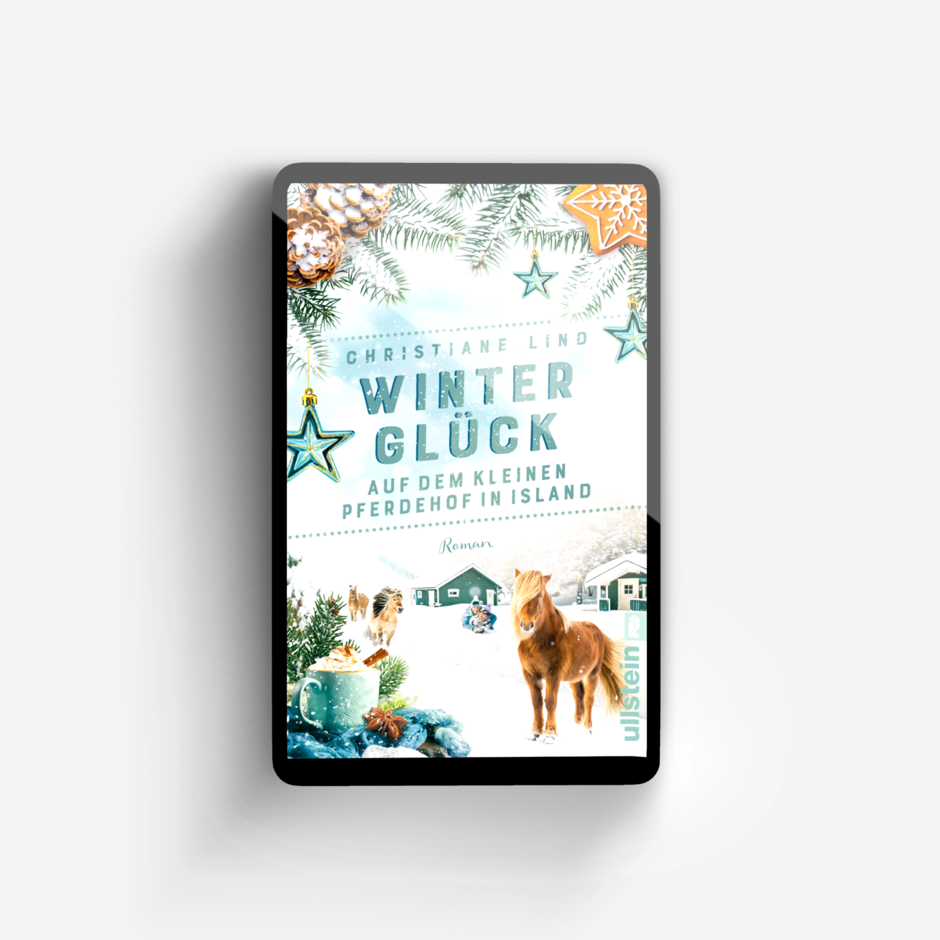Buchcover von Winterglück auf dem kleinen Pferdehof in Island