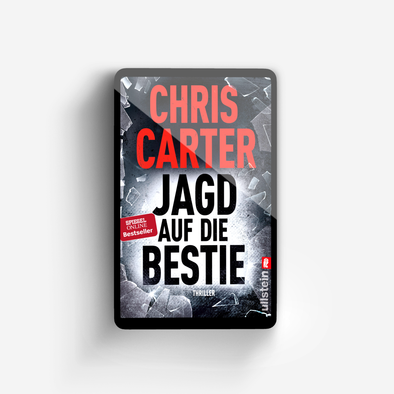 Buchcover von Jagd auf die Bestie (Ein Hunter-und-Garcia-Thriller 10)