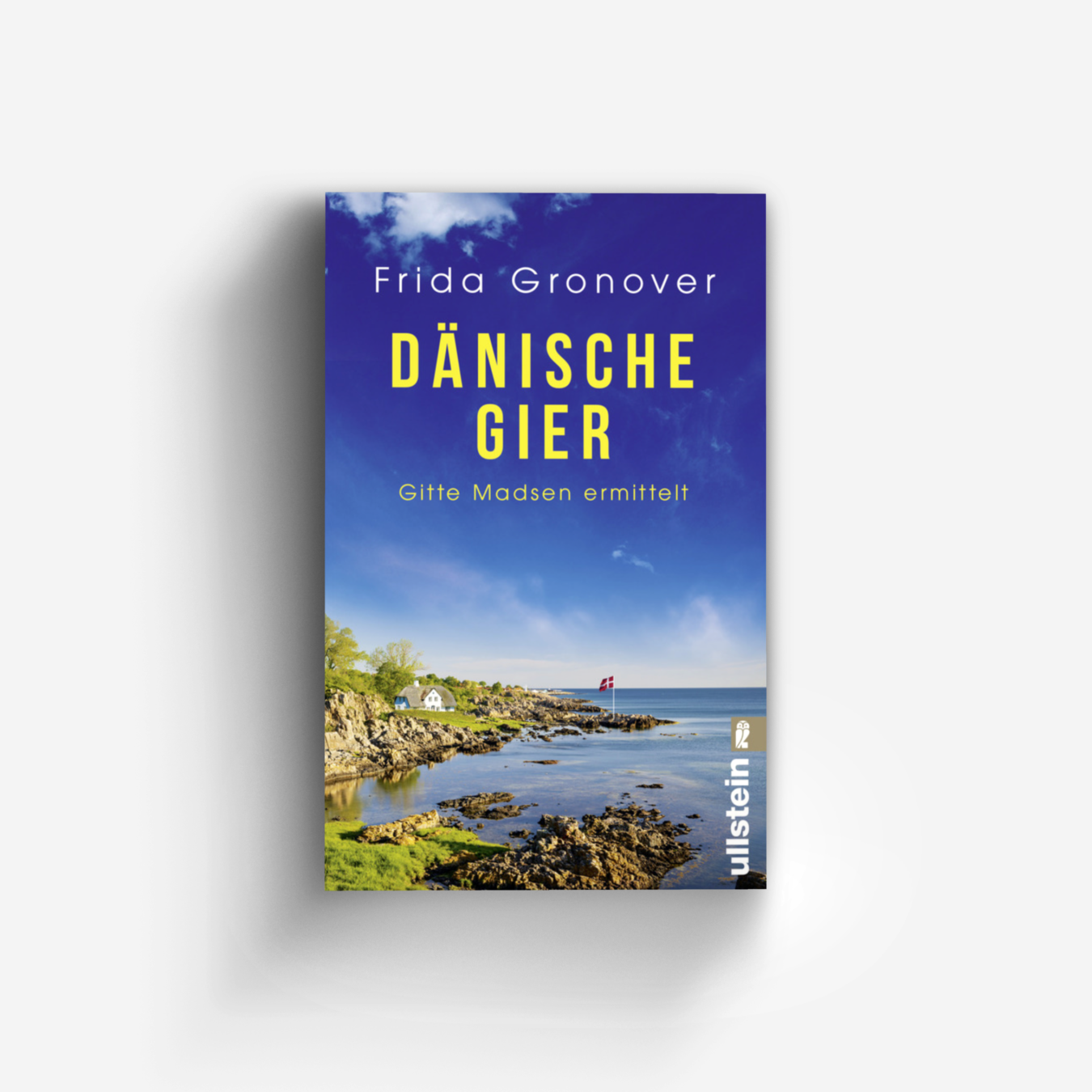 Buchcover von Dänische Gier (Ein Gitte-Madsen-Krimi 3)