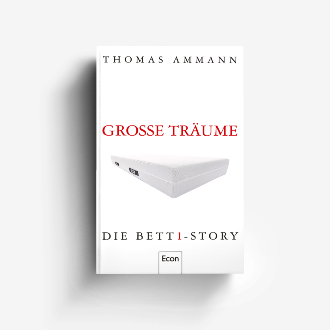 Buchcover von Große Träume