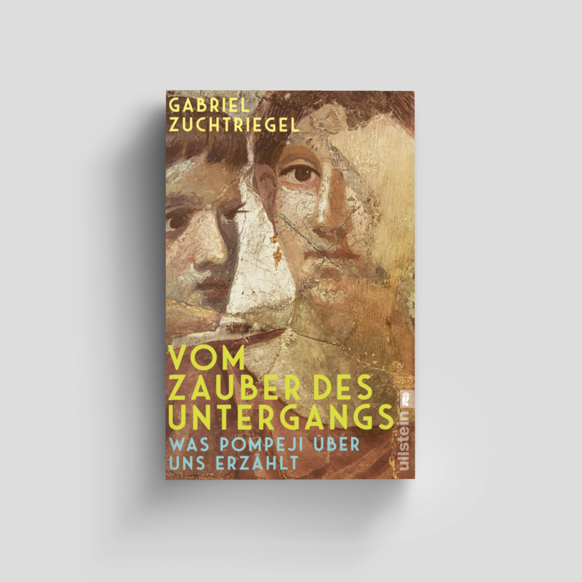 Buchcover von Vom Zauber des Untergangs