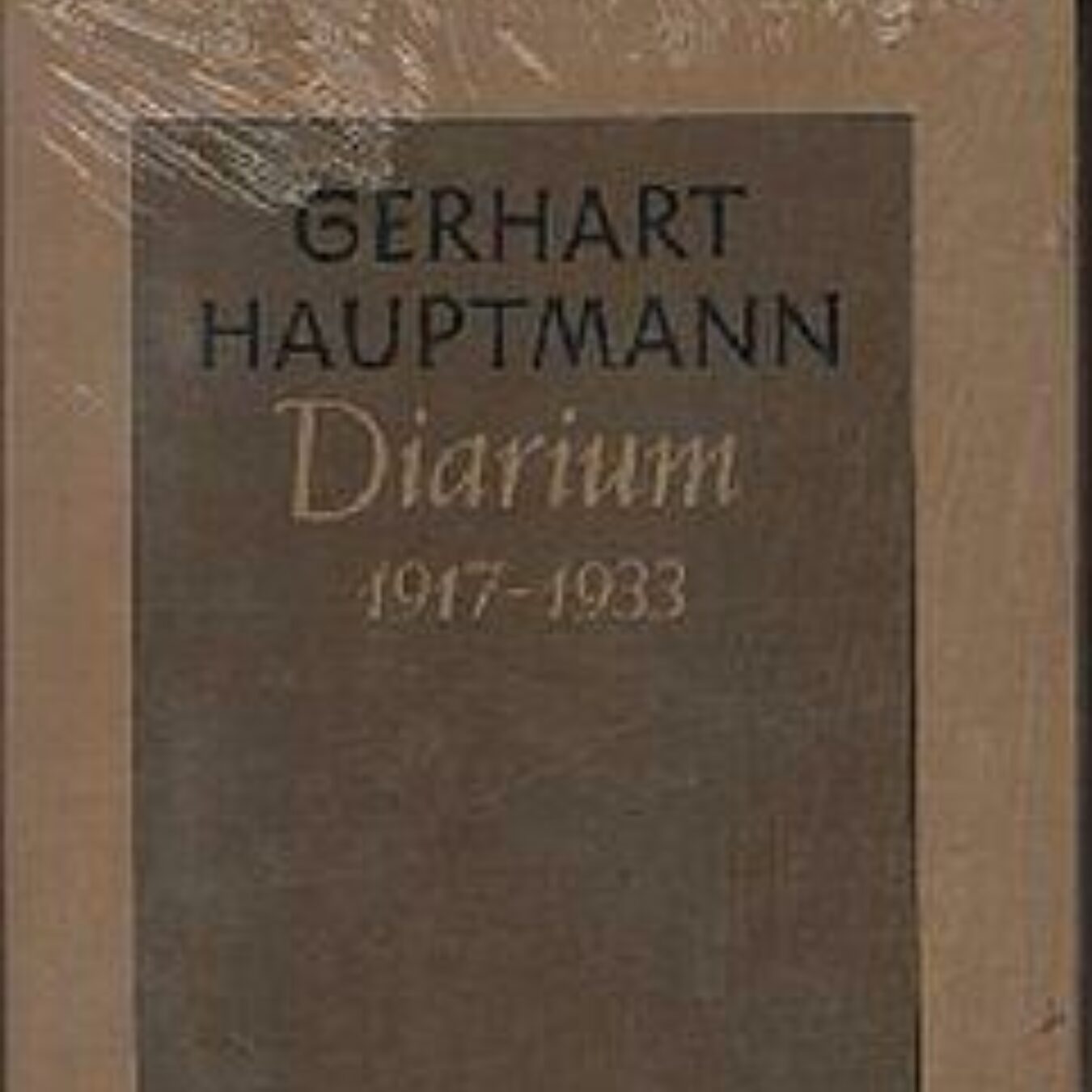 Buchcover von Diarium 1917 bis 1933
