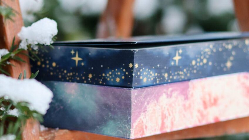 Zwei Bücher mit Farbschnitt auf einer verschneiten Holzleiter im Wintergarten.