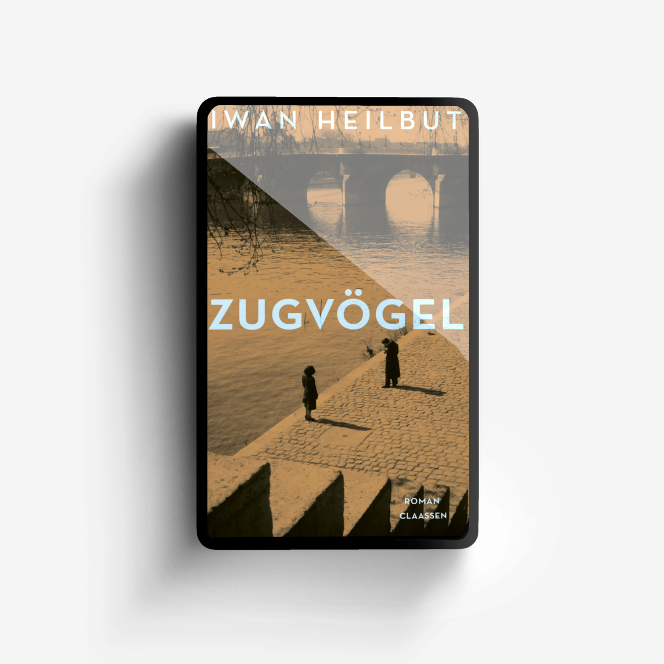 Buchcover von Zugvögel