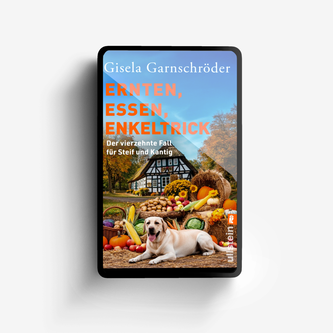 Buchcover von Ernten, Essen, Enkeltrick (Ein-Steif-und-Kantig-Krimi 14)