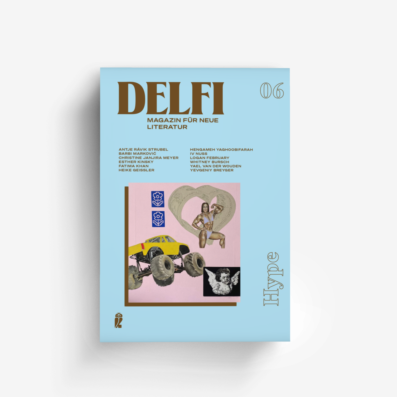 Buchcover von Delfi Hype (Delfi 6)