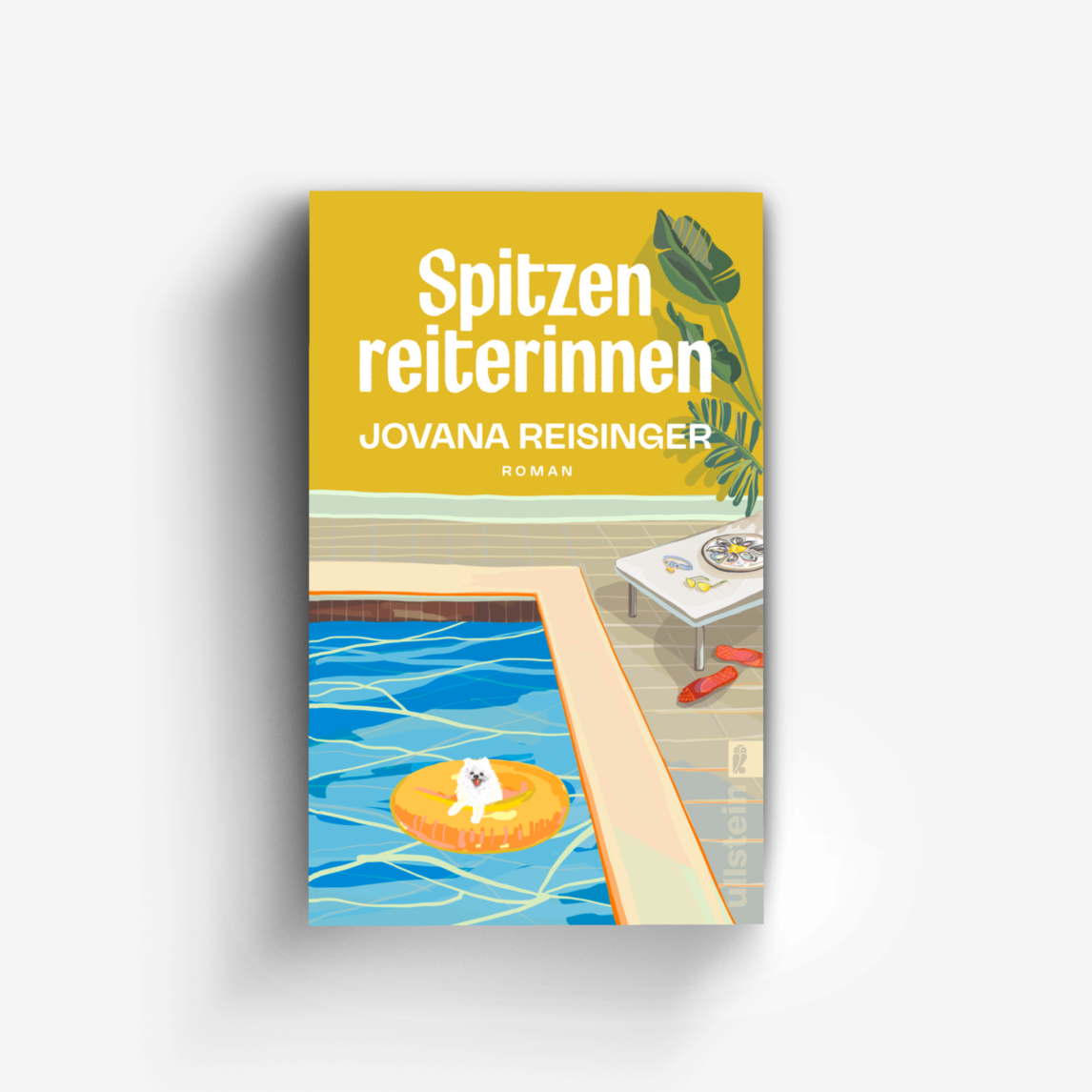 Buchcover von Spitzenreiterinnen