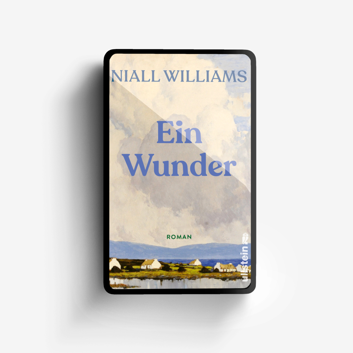 Buchcover von Ein Wunder