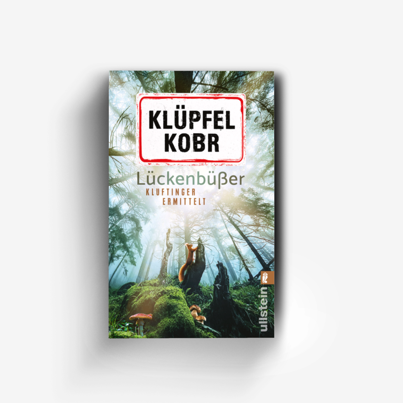 Buchcover von Lückenbüßer
