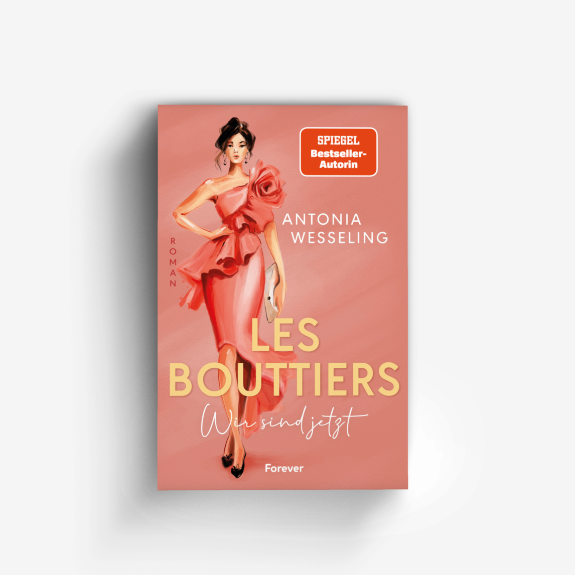 Buchcover von Les Bouttiers – Wir sind jetzt