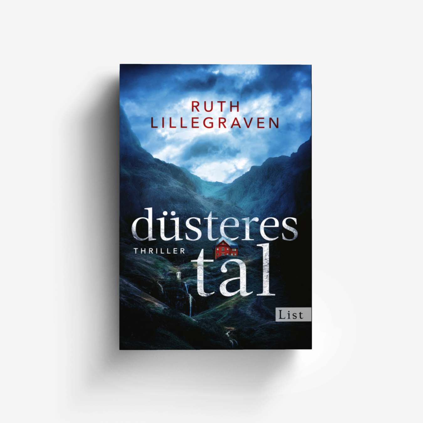 Buchcover von Düsteres Tal