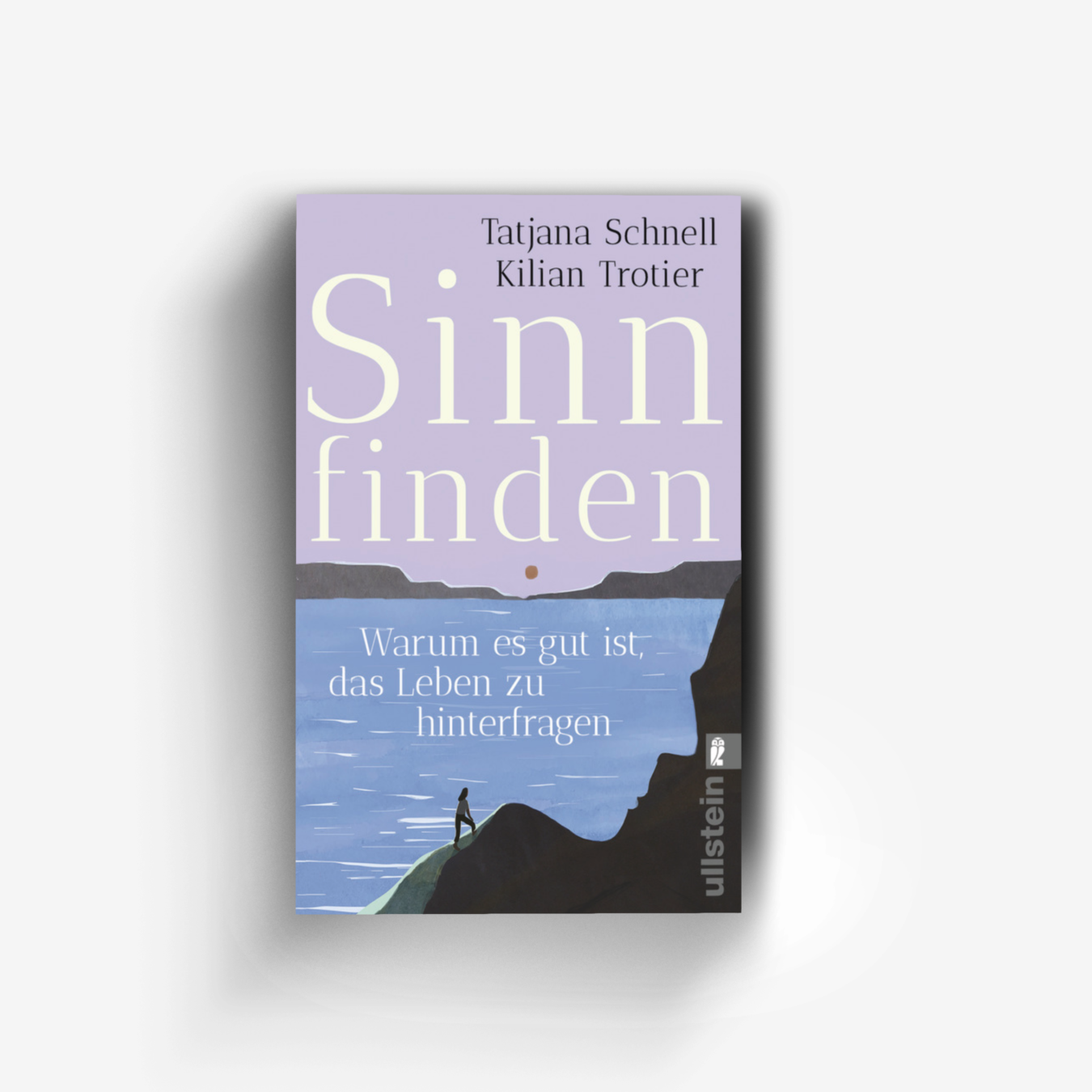 Buchcover von Sinn finden