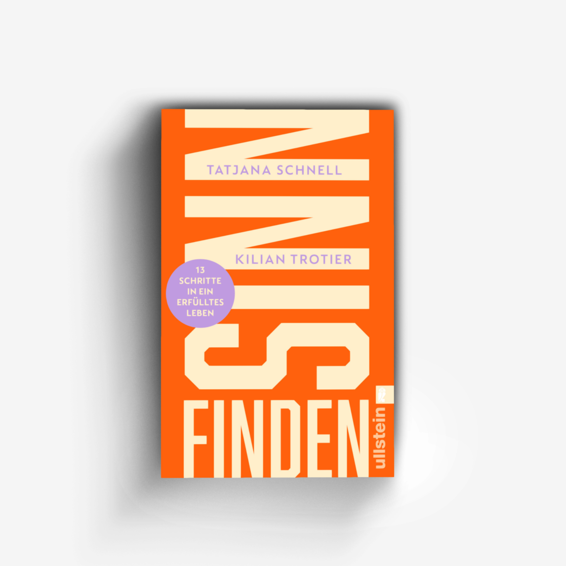 Buchcover von Sinn finden