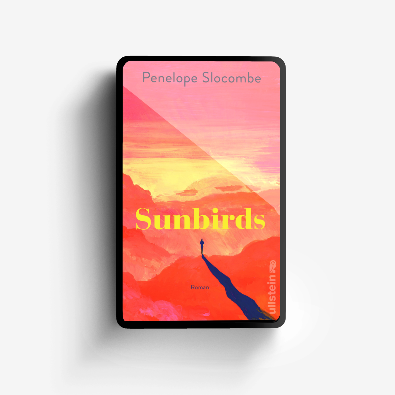 Buchcover von Sunbirds