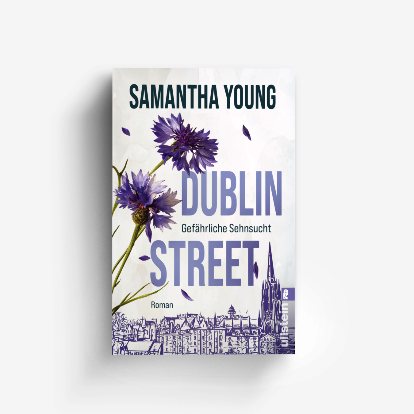Buchcover von Dublin Street – Gefährliche Sehnsucht (Edinburgh Love Stories 1)