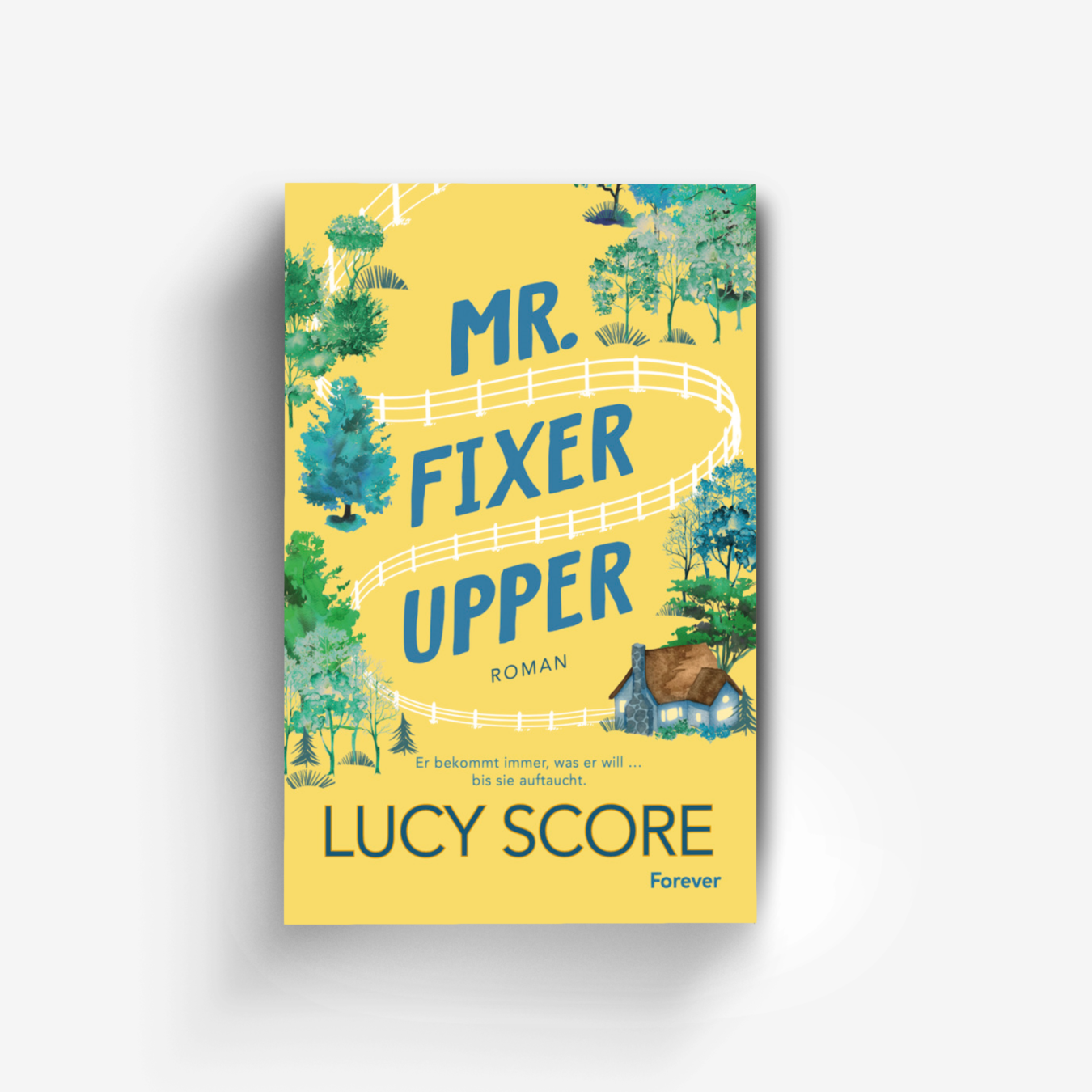 Buchcover von Mr. Fixer Upper