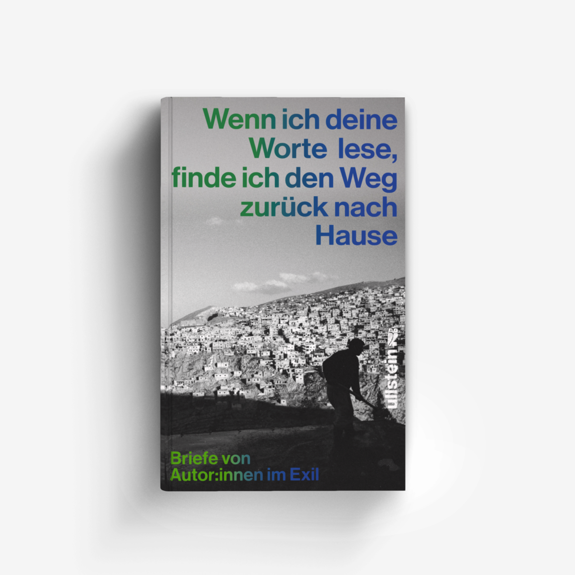 Buchcover von Wenn ich deine Worte lese, finde ich den Weg zurück nach Hause