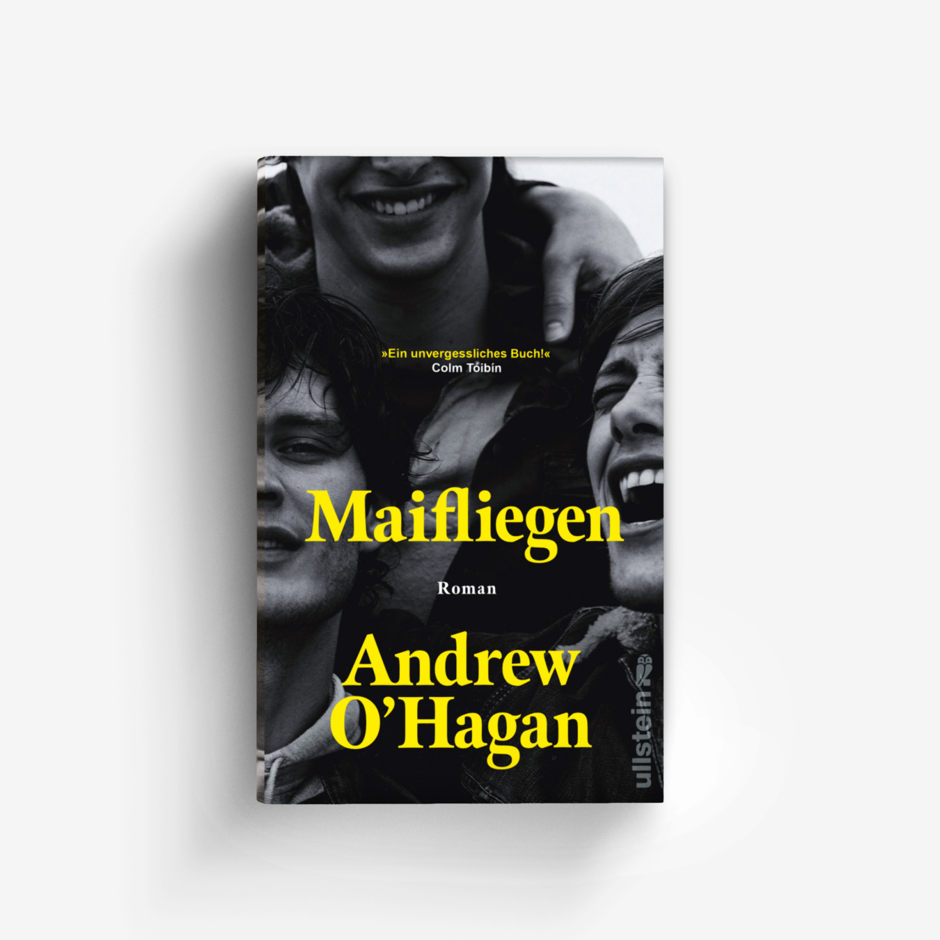 Buchcover von Maifliegen