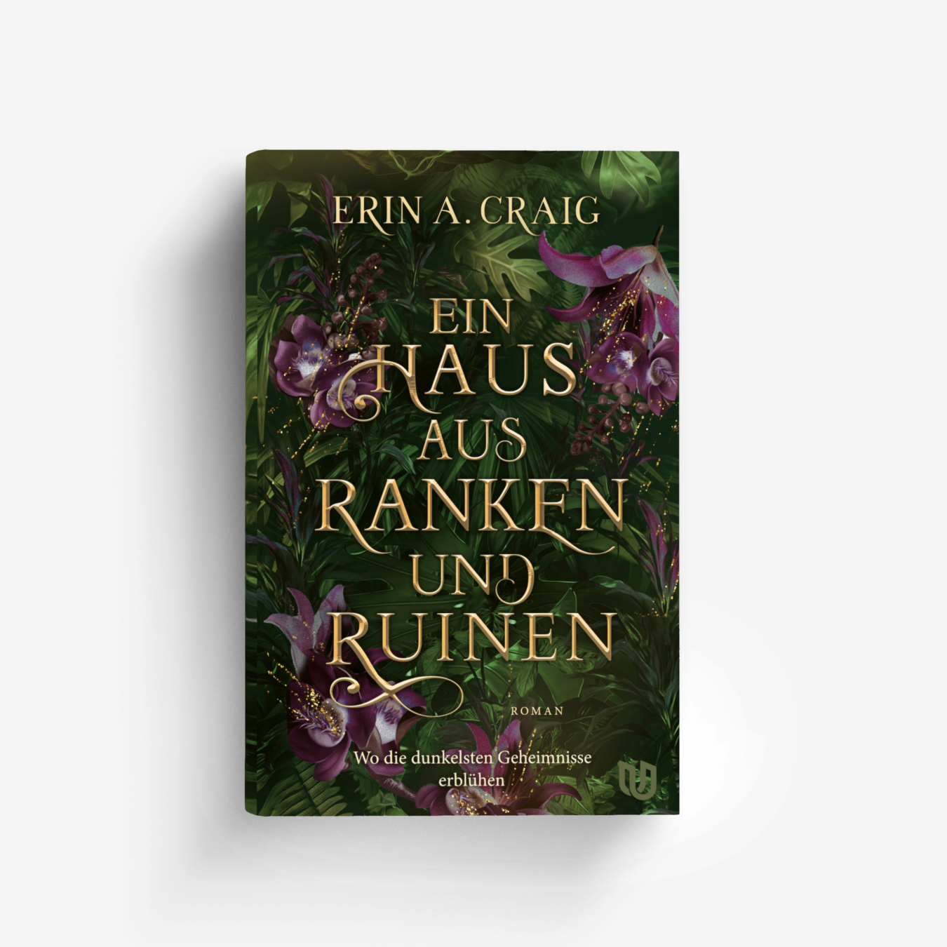 Buchcover von Ein Haus aus Ranken und Ruinen
