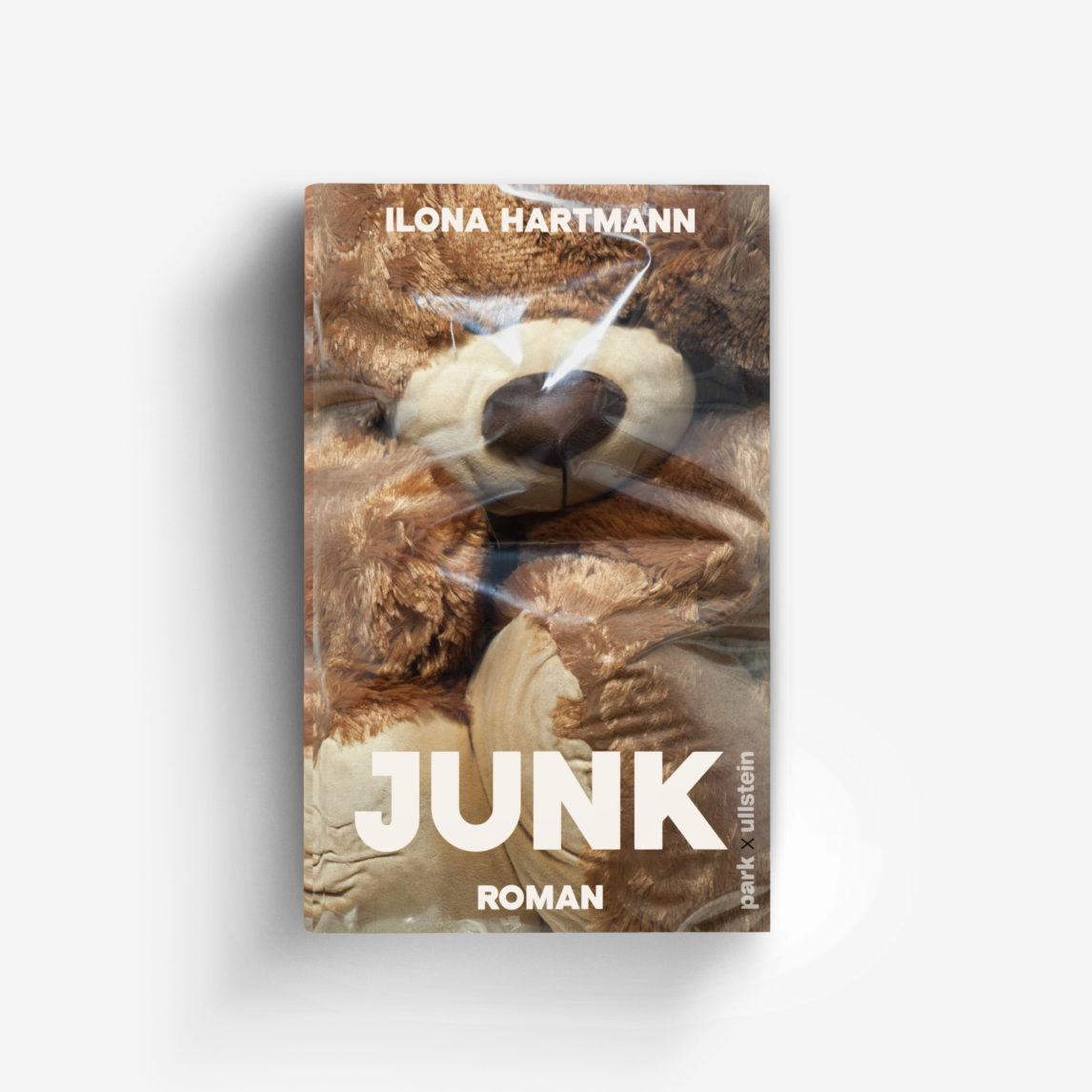 Buchcover von Junk