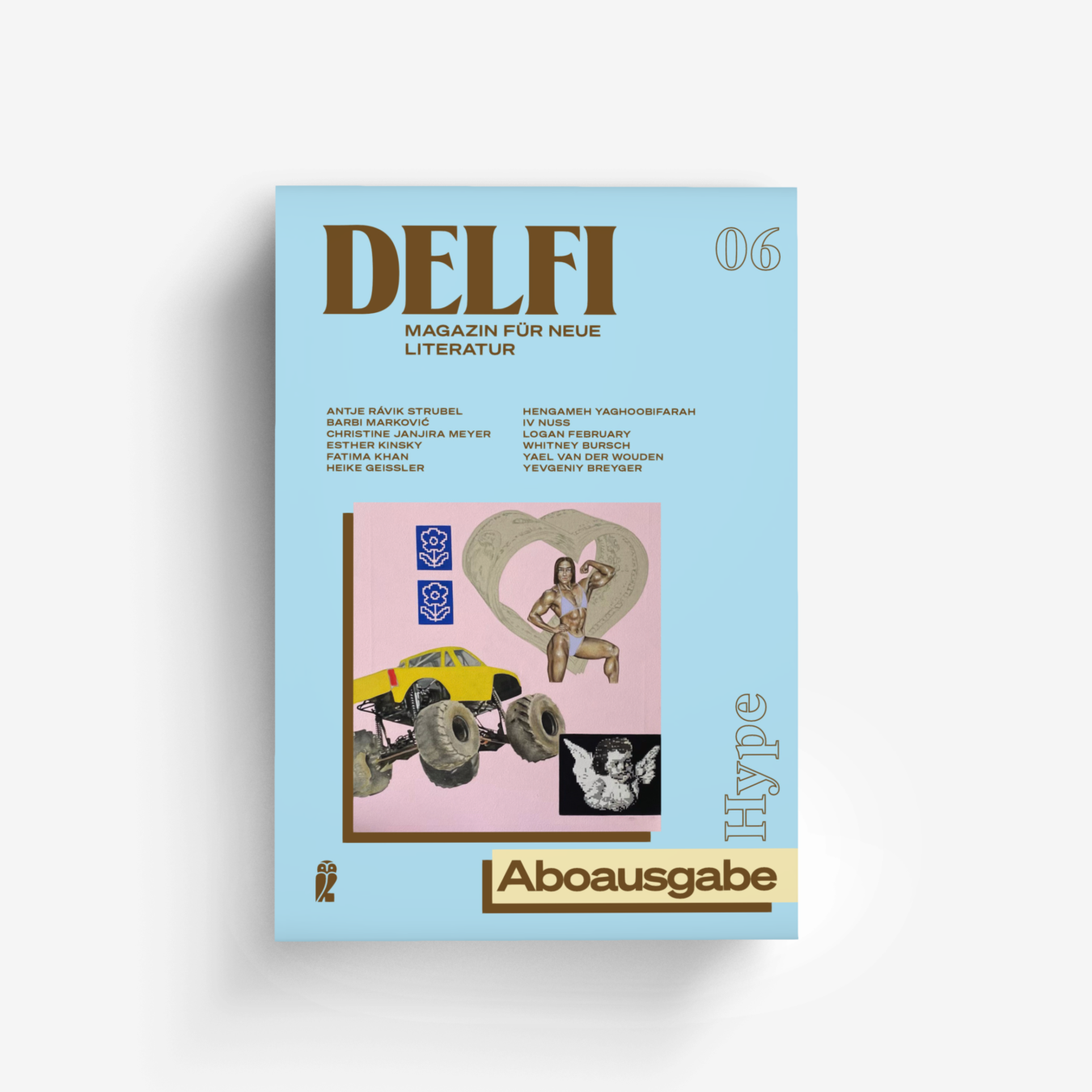 Buchcover von Delfi Hype - Aboausgabe (Delfi 6)
