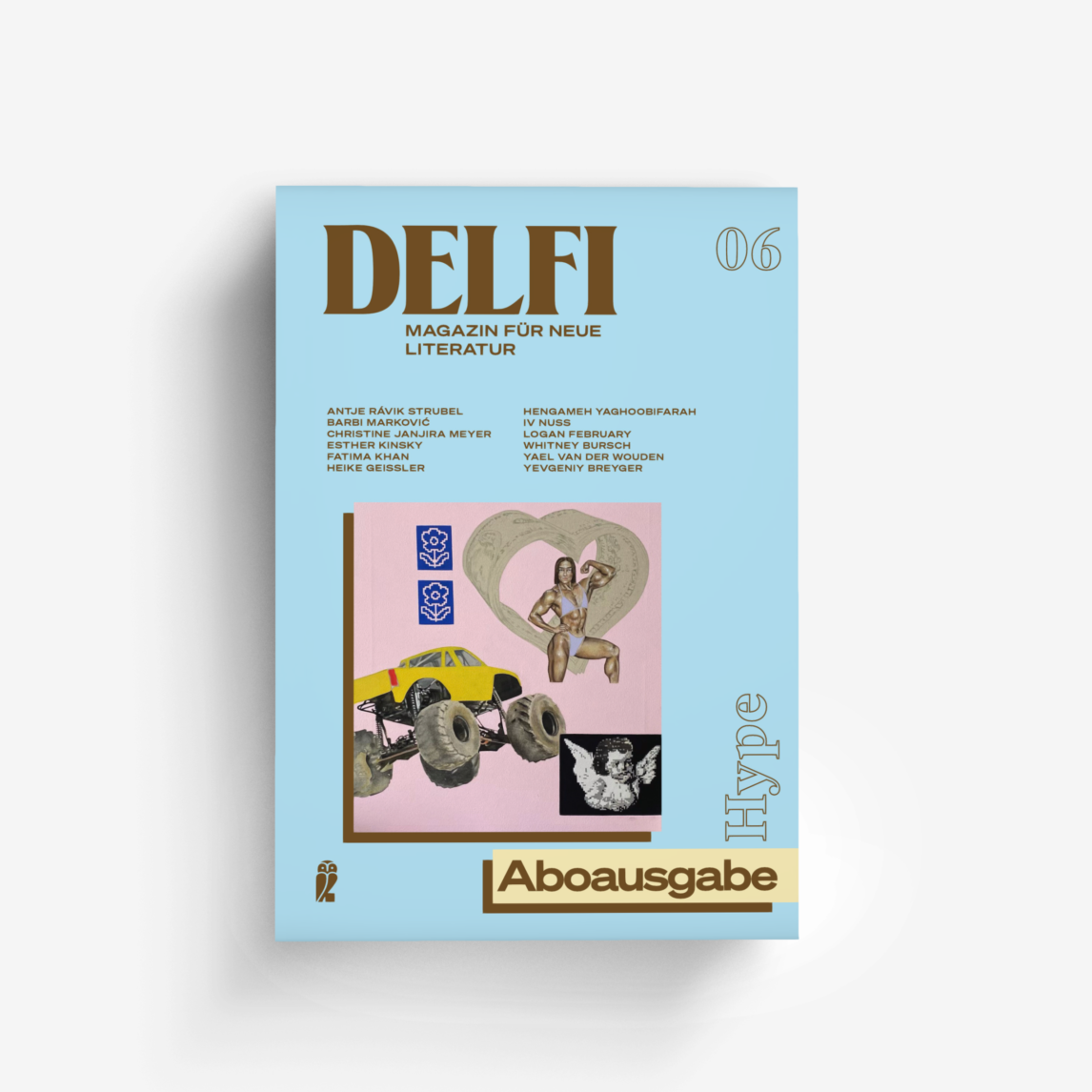 Buchcover von Delfi Hype - Aboausgabe (Delfi 6)