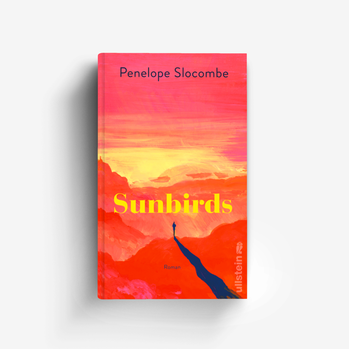 Buchcover von Sunbirds
