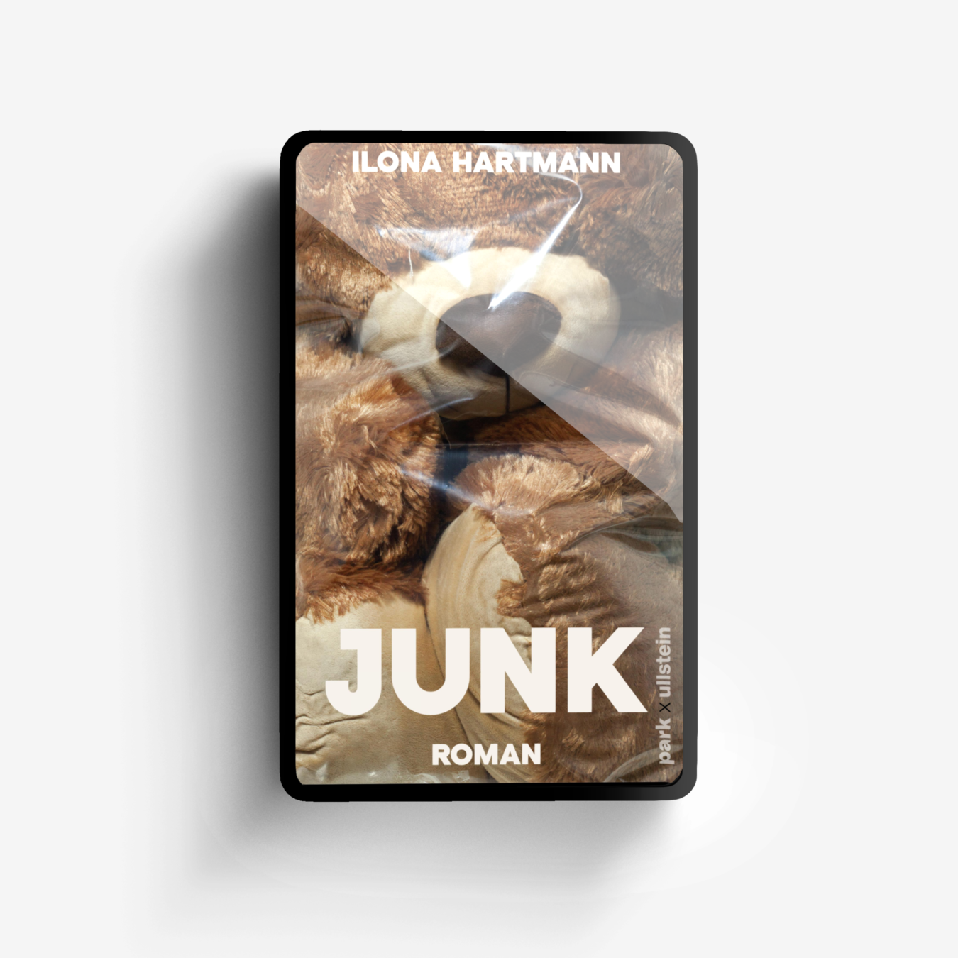 Buchcover von Junk