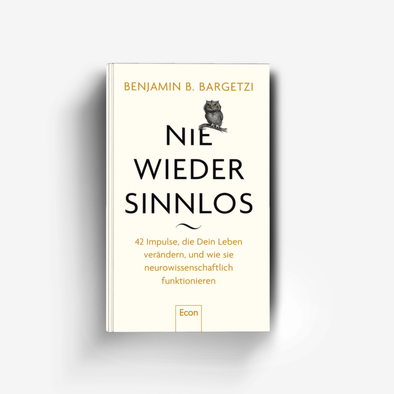 Buchcover von Nie wieder sinnlos