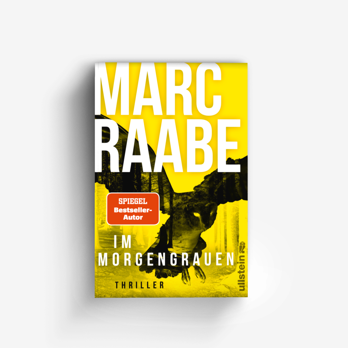 Buchcover von Im Morgengrauen (Art Mayer-Serie 4)