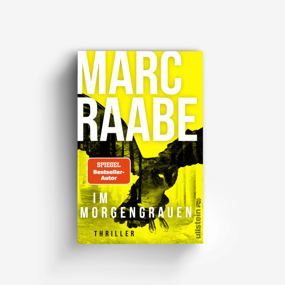 Buchcover von Im Morgengrauen (Art Mayer-Serie 4)