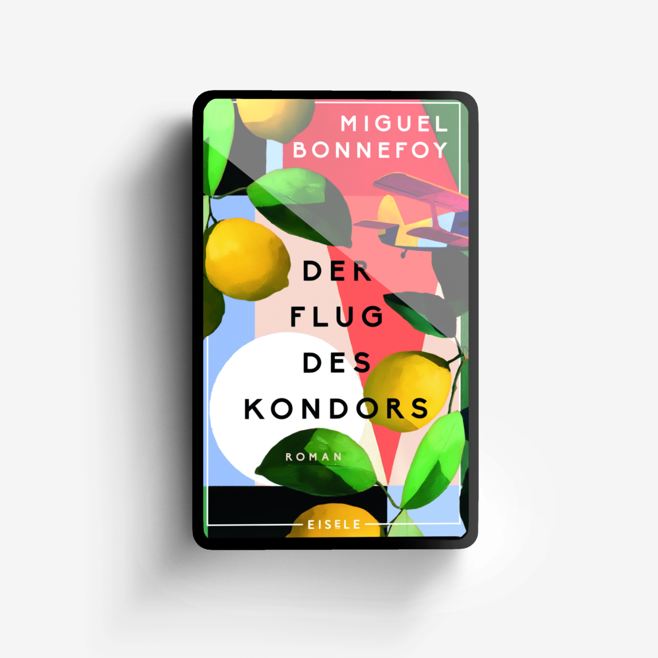 Buchcover von Der Flug des Kondors