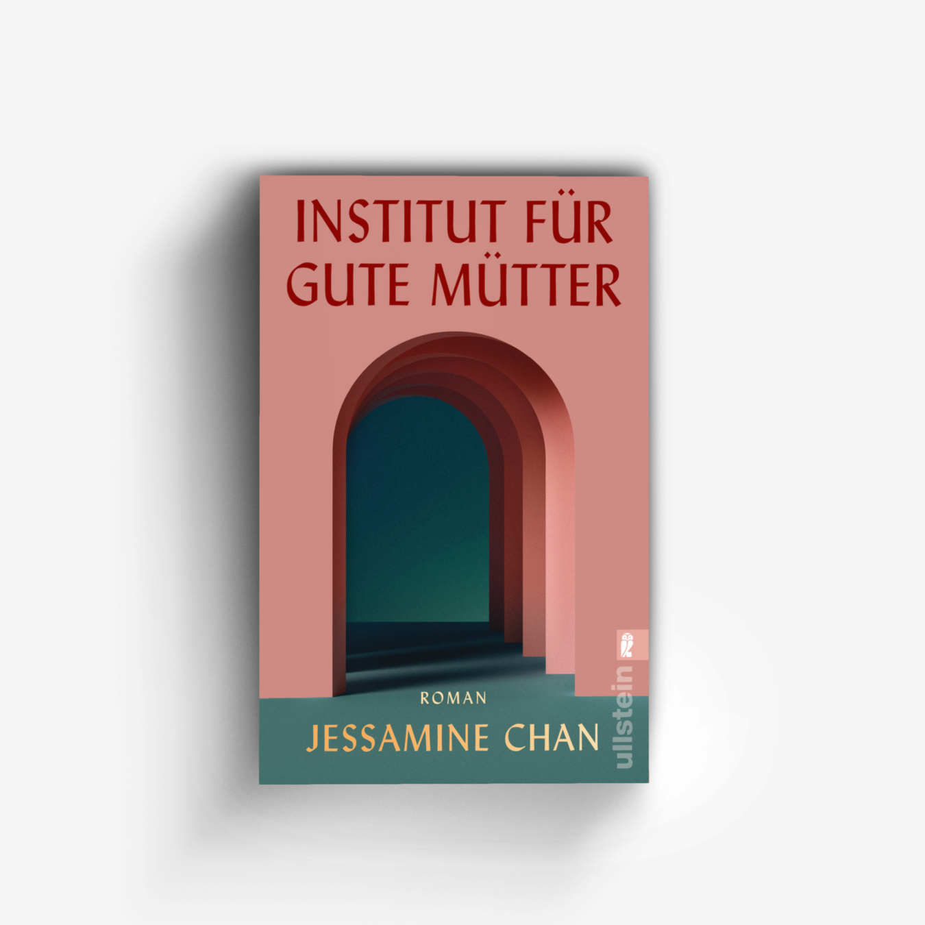 Buchcover von Institut für gute Mütter