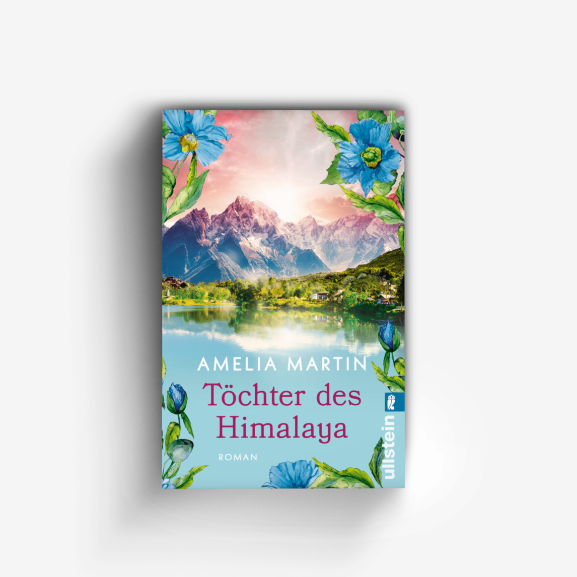 Buchcover von Töchter des Himalaya