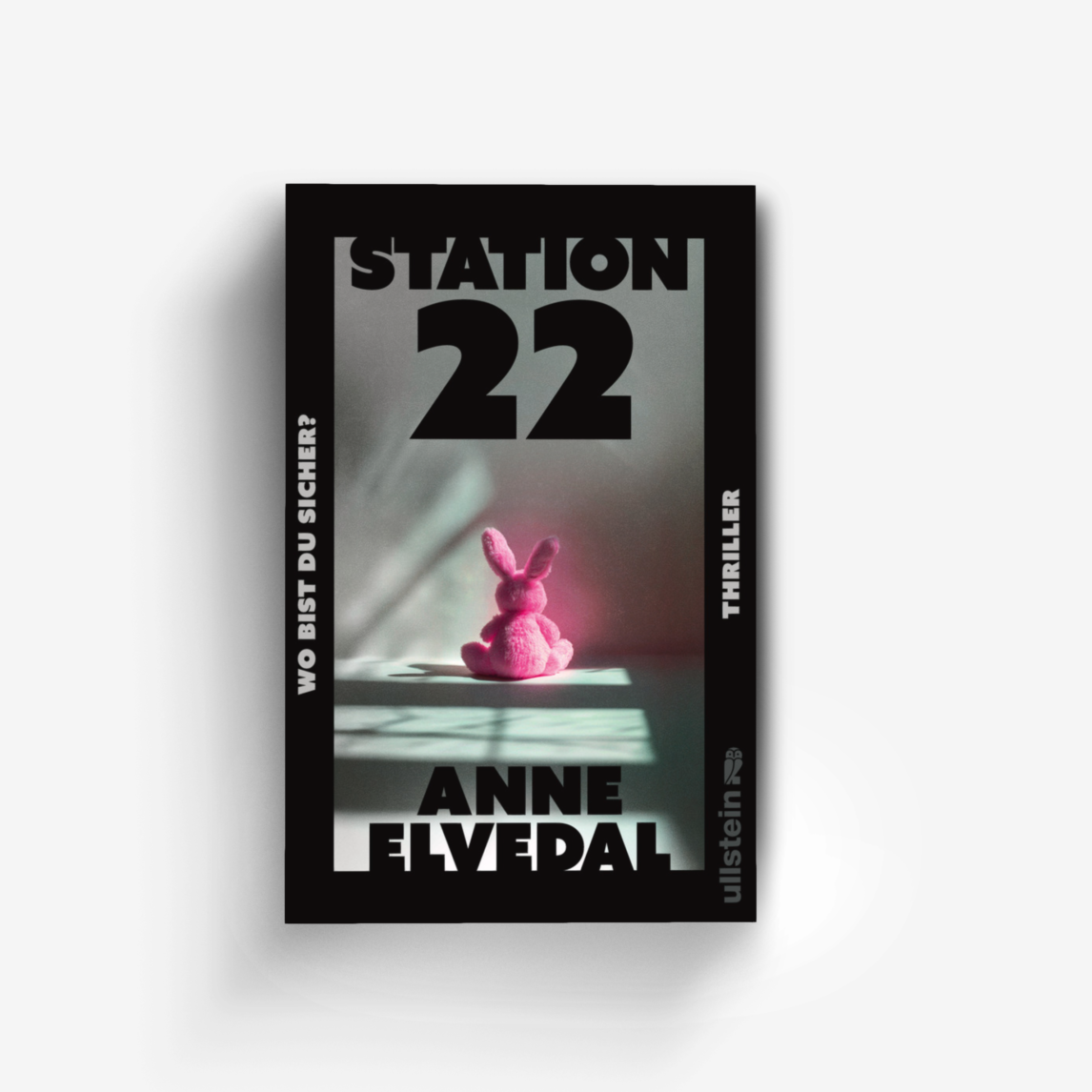 Buchcover von Station 22. Wo bist du sicher?