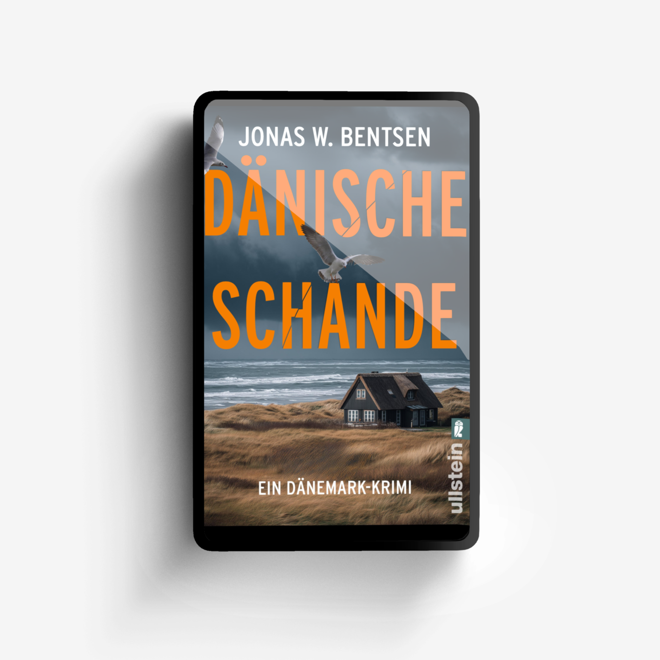 Buchcover von Dänische Schande