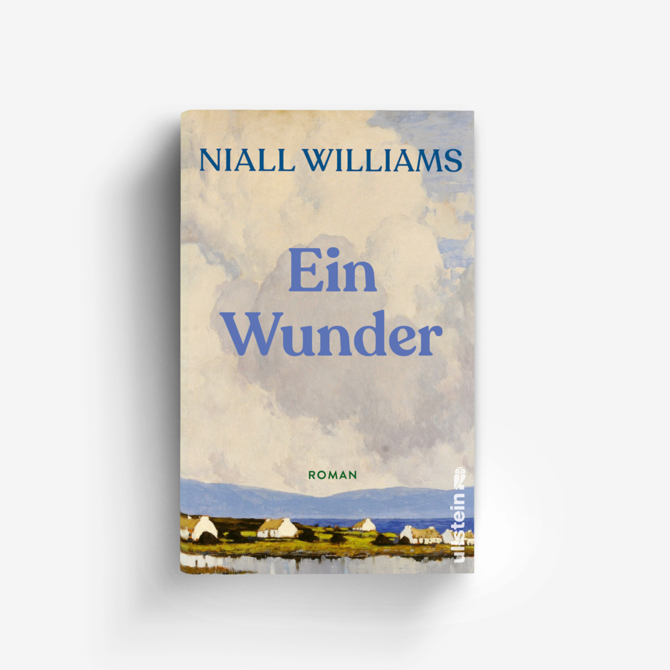 Buchcover von Ein Wunder