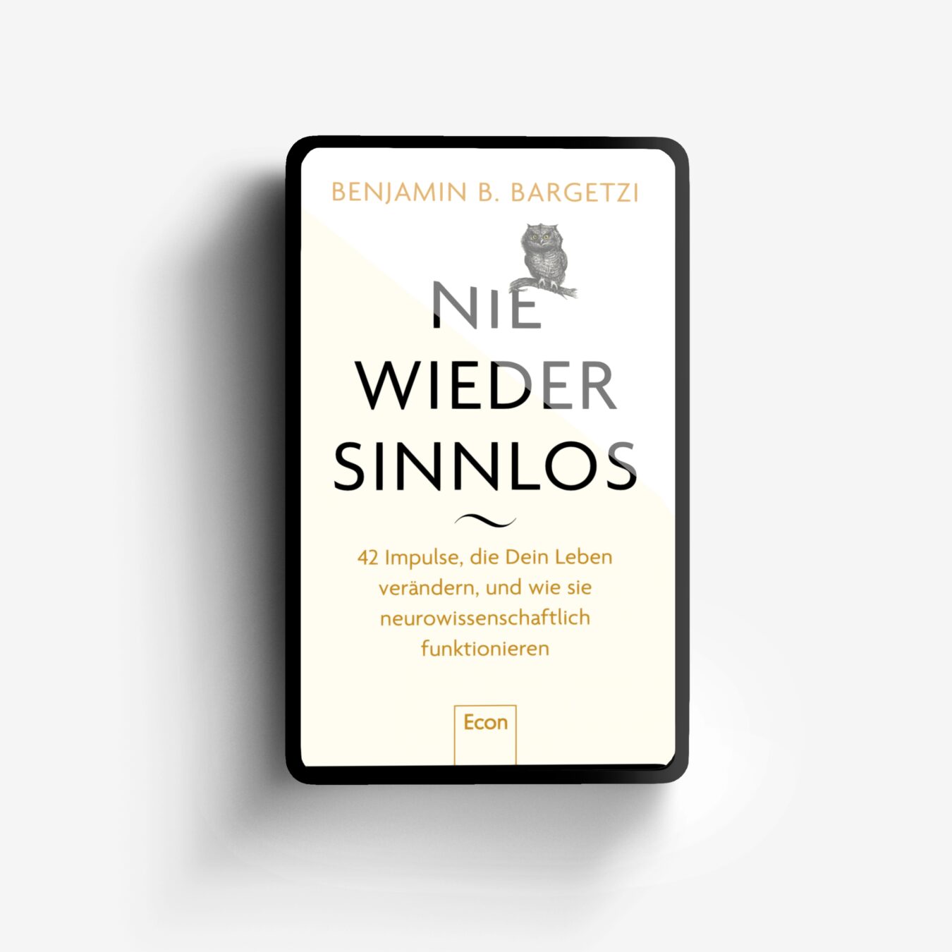 Buchcover von Nie wieder sinnlos