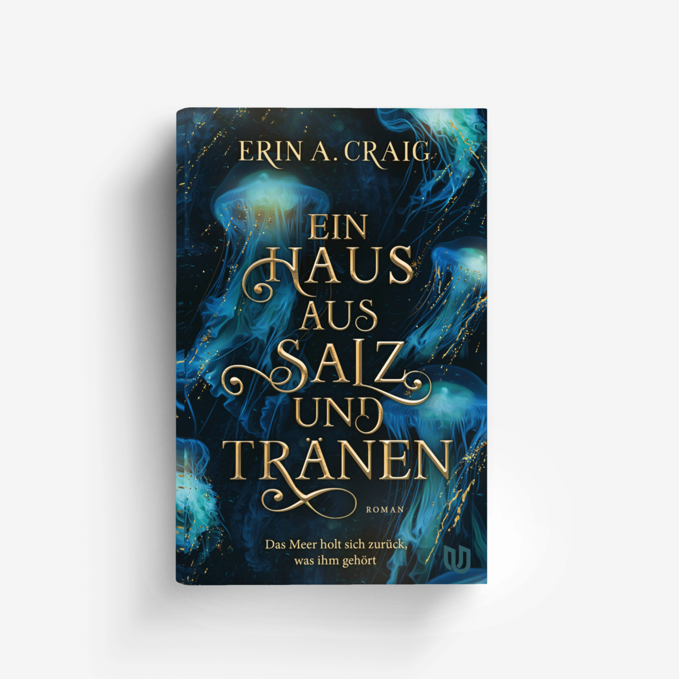 Buchcover von Ein Haus aus Salz und Tränen