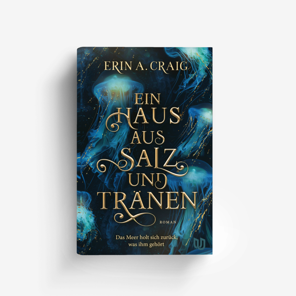 Buchcover von Ein Haus aus Salz und Tränen