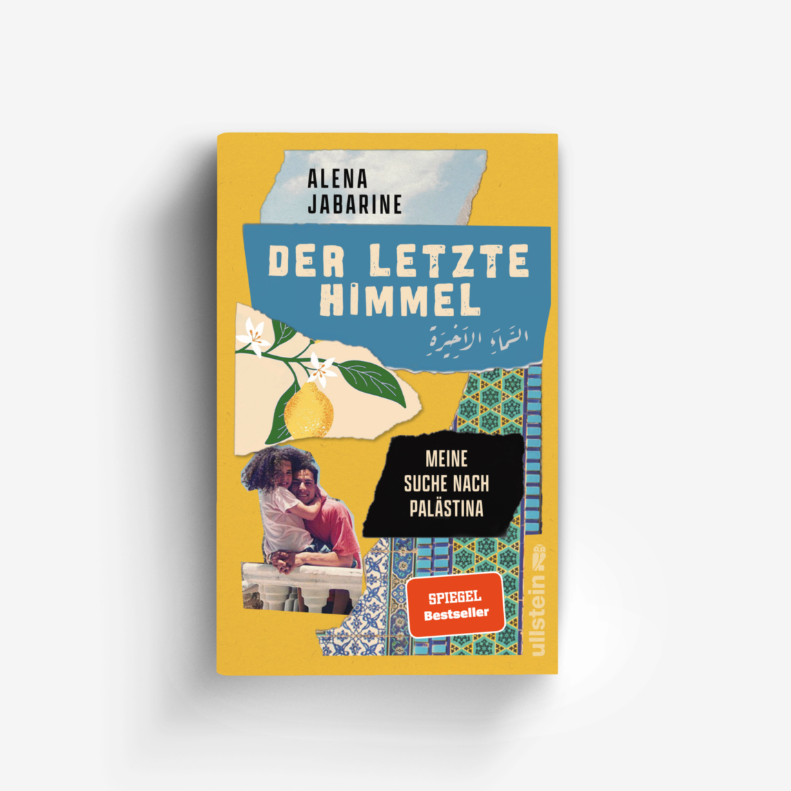 Buchcover von Der letzte Himmel