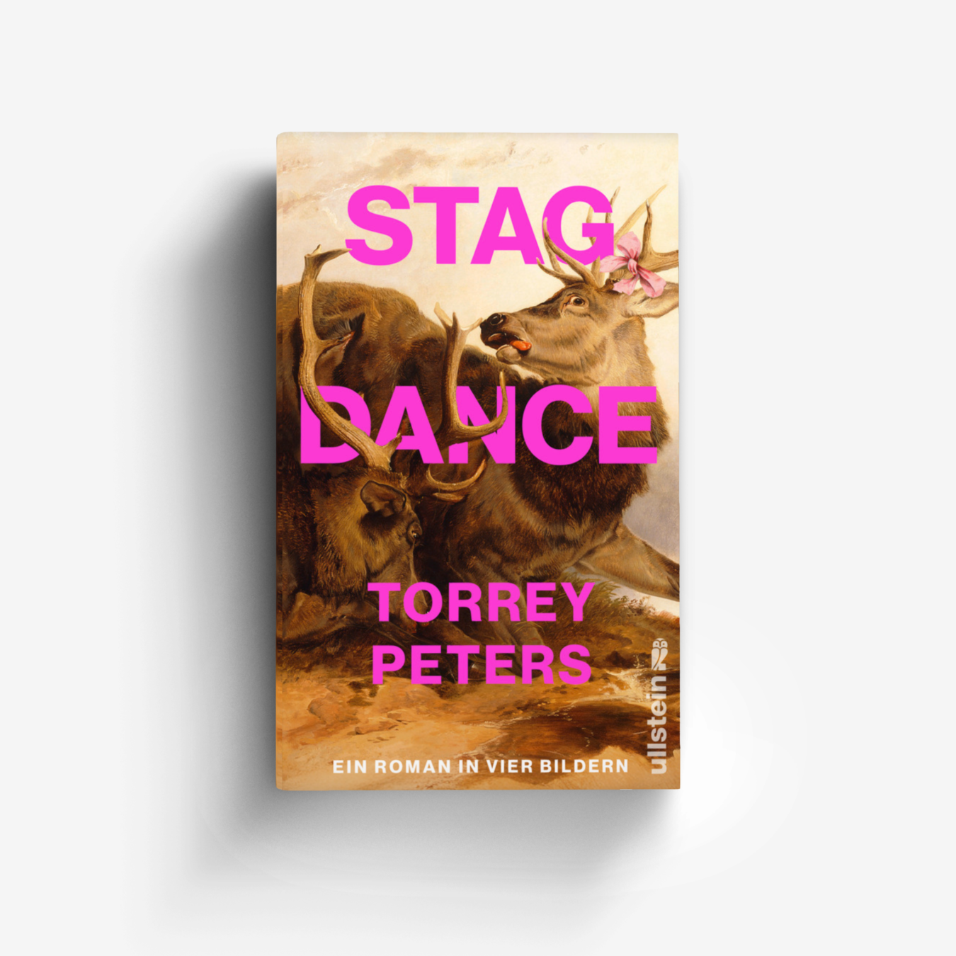 Buchcover von Stag Dance