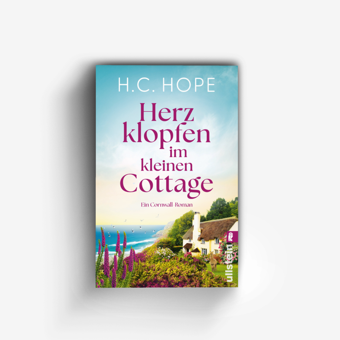 Buchcover von Herzklopfen im kleinen Cottage