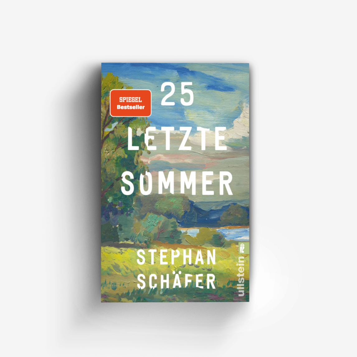 Buchcover von 25 letzte Sommer