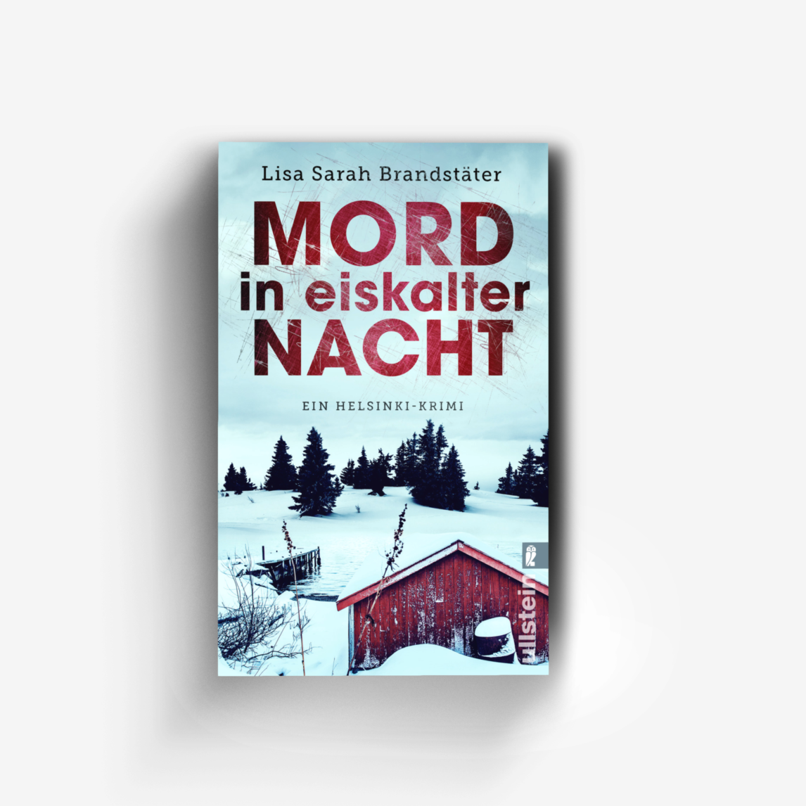 Buchcover von Mord in eiskalter Nacht