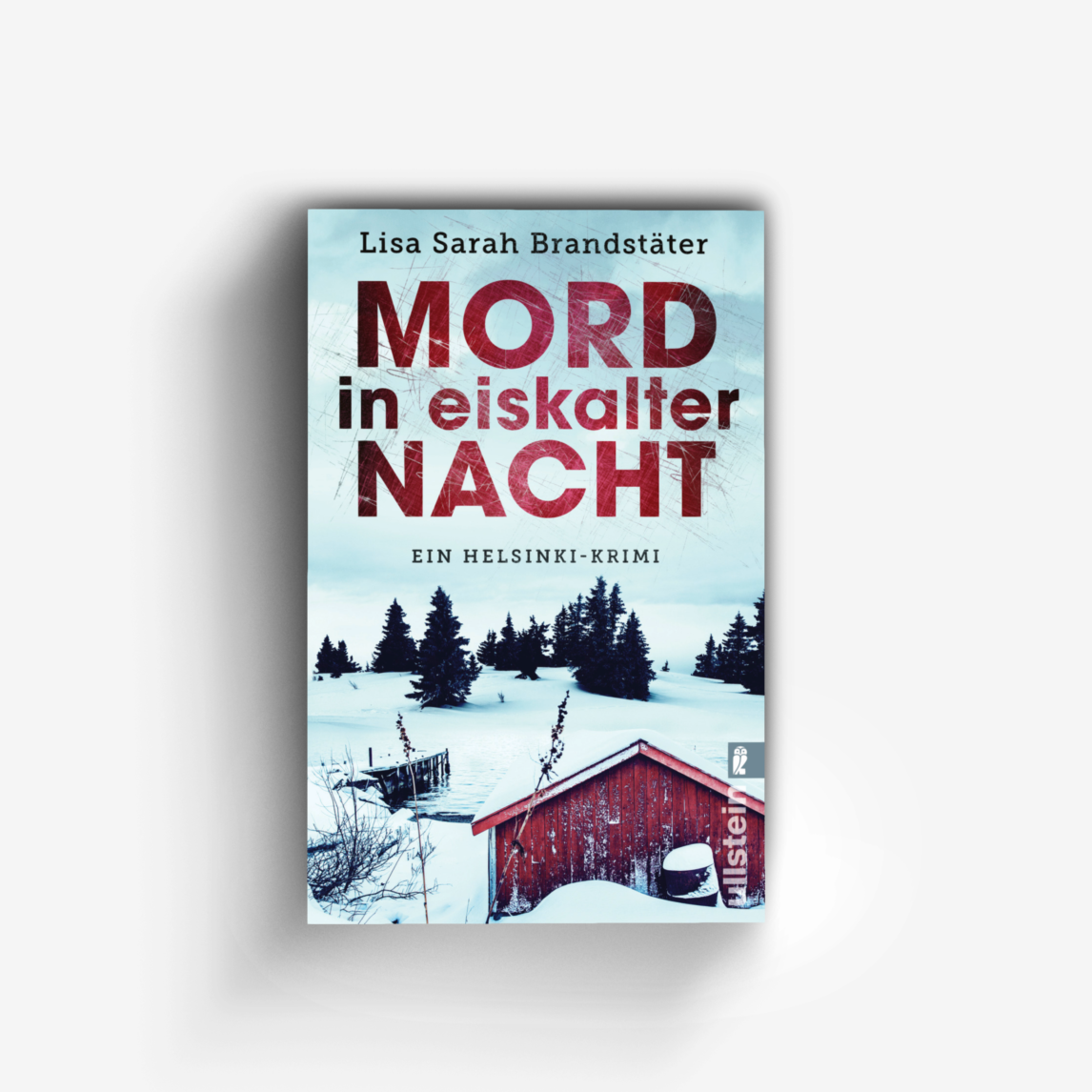Buchcover von Mord in eiskalter Nacht
