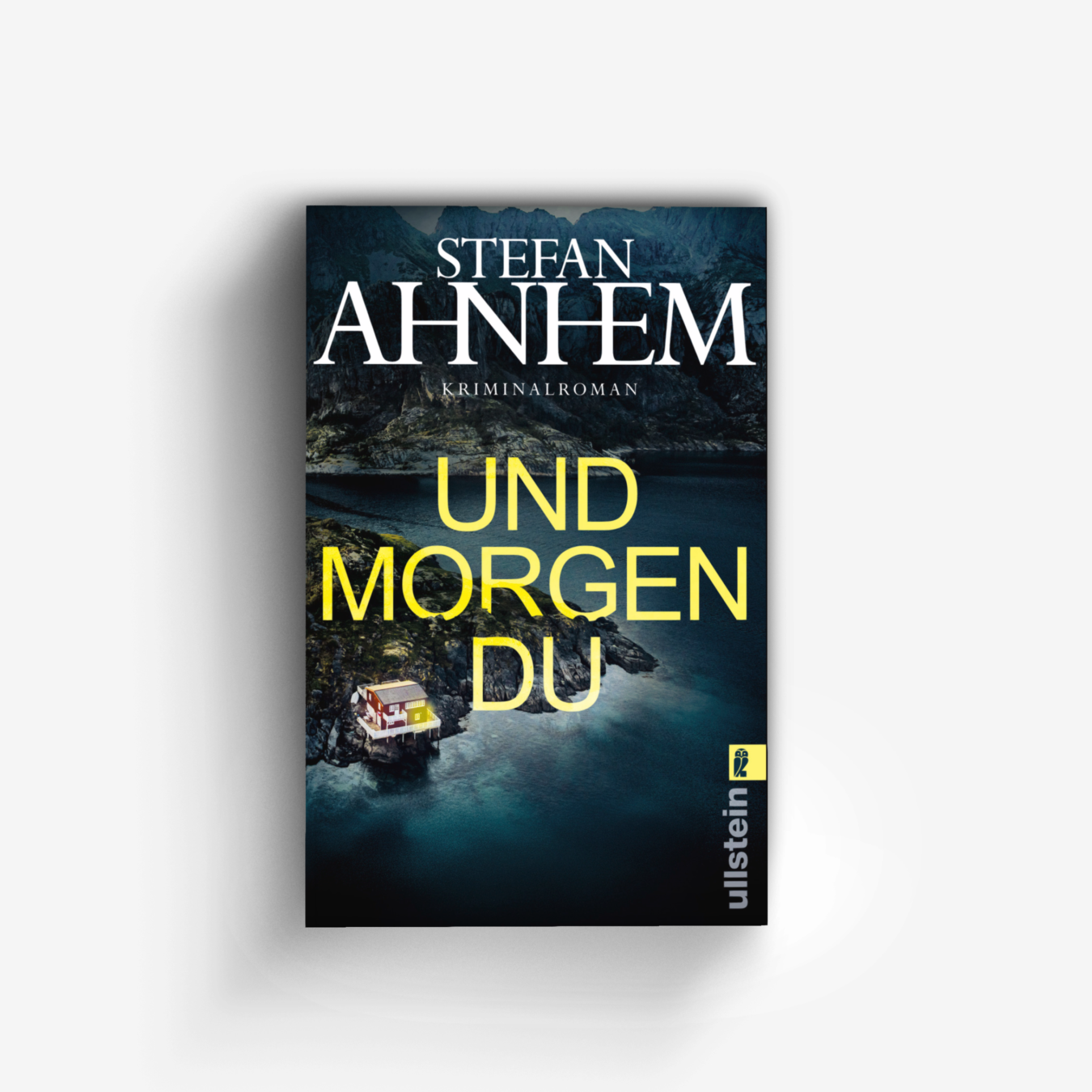 Buchcover von Und morgen du (Ein Fabian-Risk-Krimi 1)